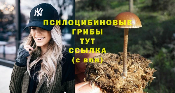 герыч Краснотурьинск