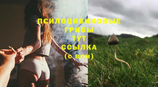 герыч Куйбышев