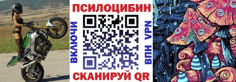 где купить наркоту Фокино Псилоцибиновые грибы Cubensis